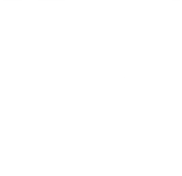 lmchampart.fr